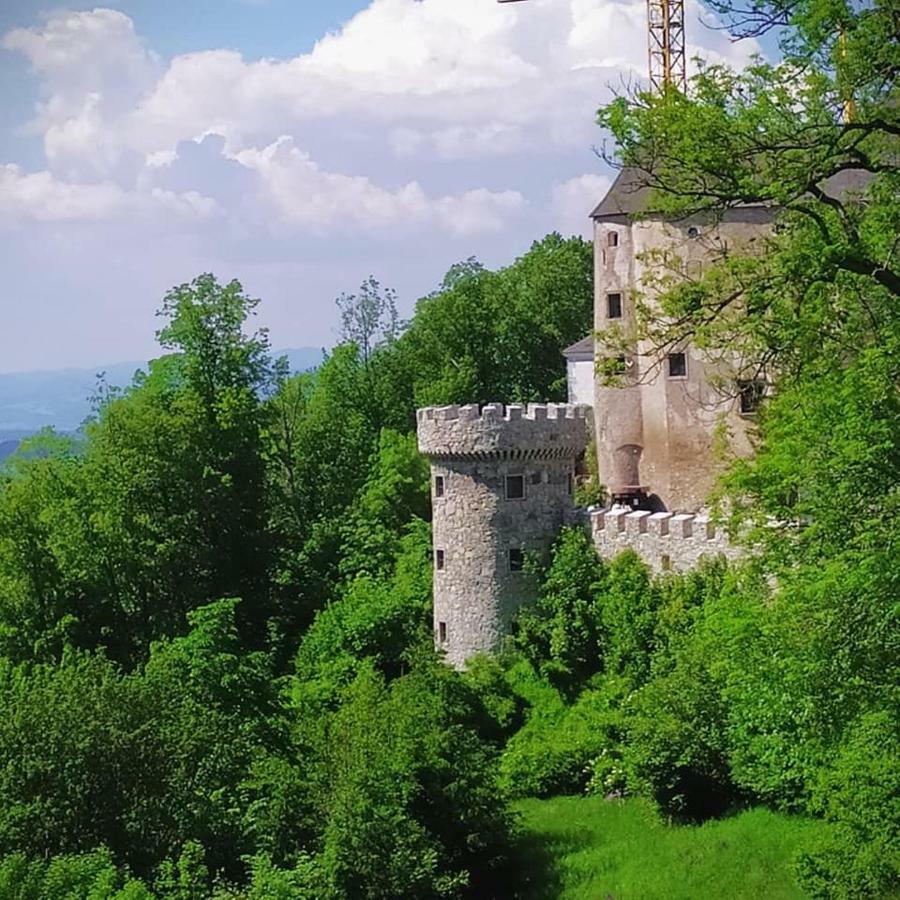 Burg Plankenstein Hotel Texing Exterior foto